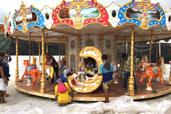 Amusement carousel rides for sale